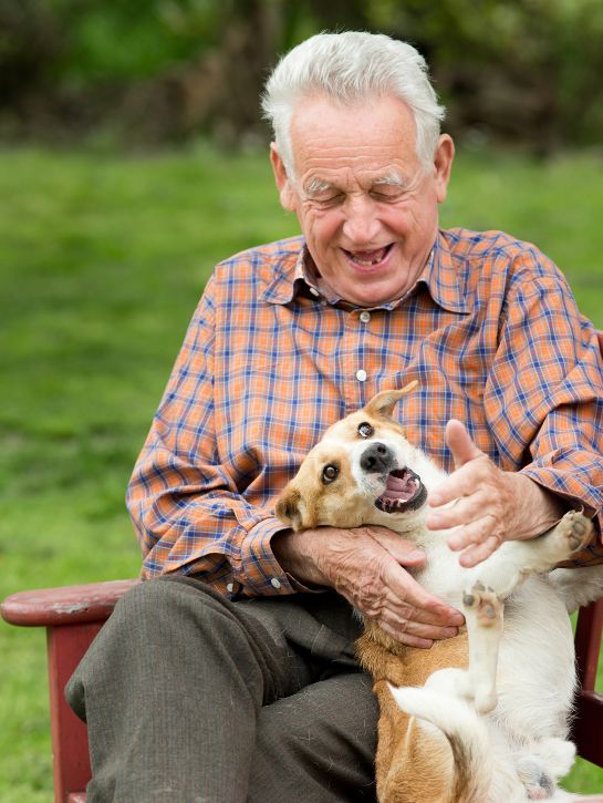 How Animals Can Be Helpful at Adult Care Facilities